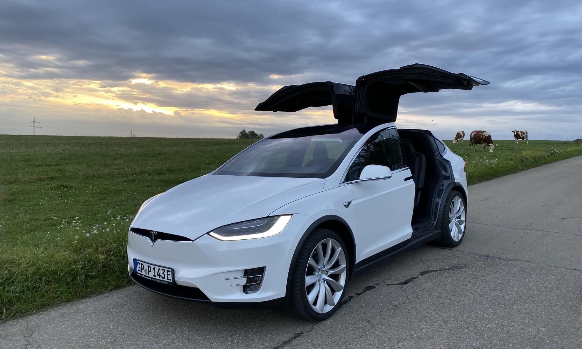 Tesla Model X mieten in Göppingen